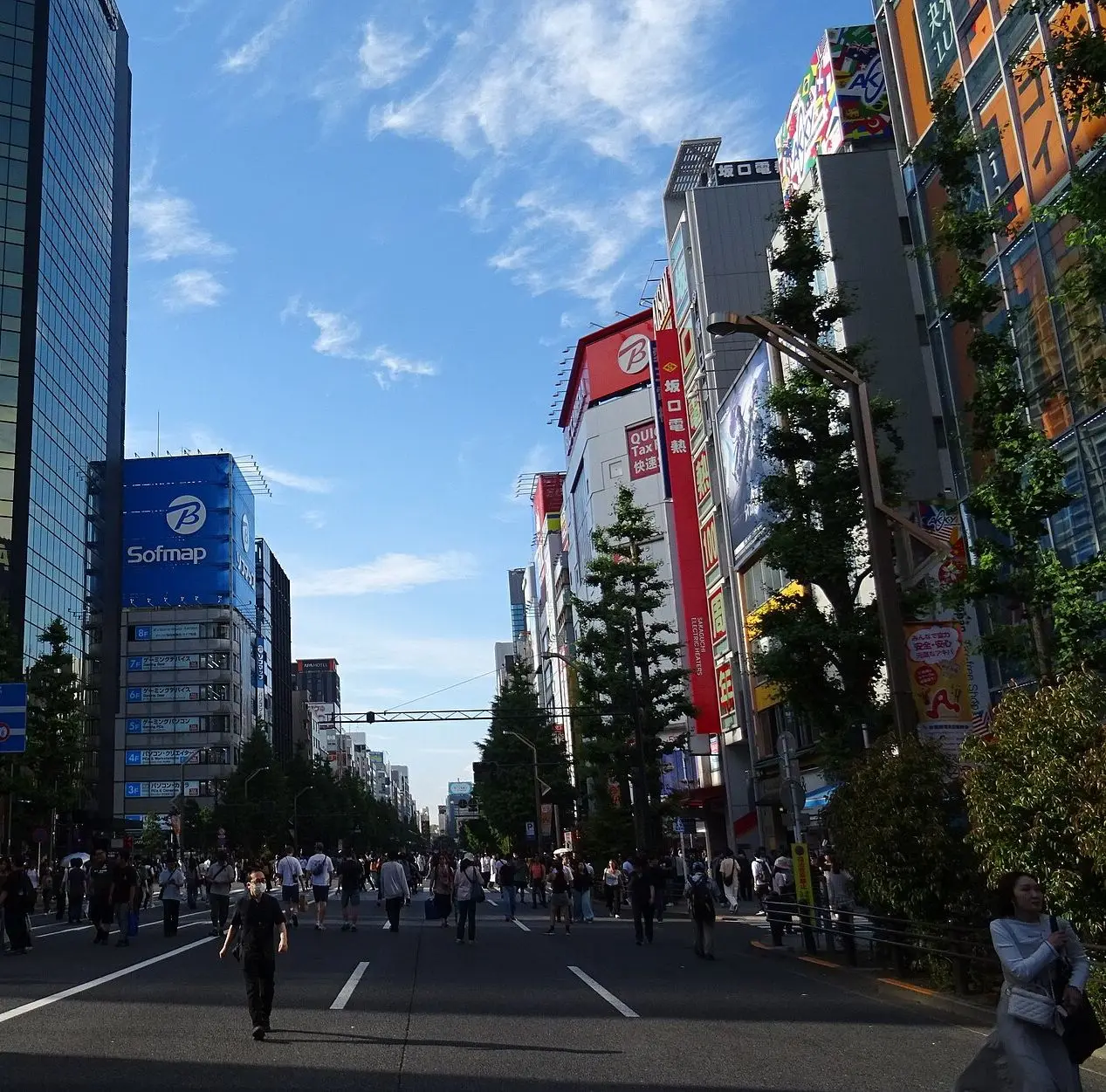 歩行者天国の日の秋葉原の中央通り
